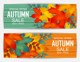 Autumn Sale Background Banner Card design Illustration  with colorful Falling maple leafs on wood texture , Vector