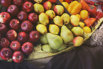 Harvest. Apples and pears