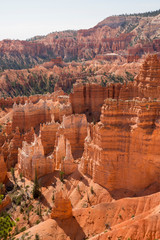 landscape on the bryce canyon in the united states of america