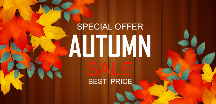 Autumn Sale Background Banner Card design Illustration  with colorful Falling maple leafs on wood texture , Vector