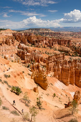 landscape on the bryce canyon in the united states of america