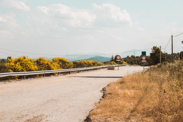 carretera en camino de montaña con flores amarillas