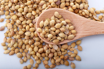 Coriander seed isolated over white background with wooden spoon