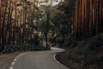 camino por la carretera en mitad del bosque en la sierra de Madrid