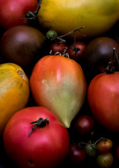 Organic Tomatoes