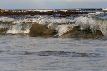 beach brake wave in morning light