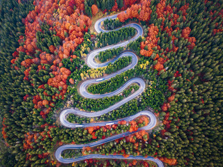 Winding road from high mountain pass, in autumn season, with orange forest. Aerial view by drone....