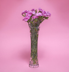 A bouquet of pink spring flowers in a transparent vase on a pink background