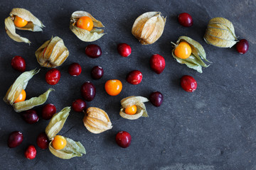 .Arrangement of physalis fruit, Cape Gooseberries and cranberries, on natural slate background  with copy space