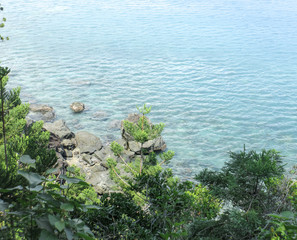 Türkises Meer mit Felsen und Pflanzen