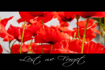 Remembrance day background with poppies and text: Lest we forget