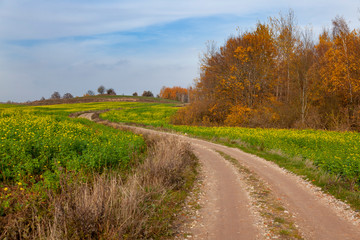 Krajobraz rolniczy - jesienny