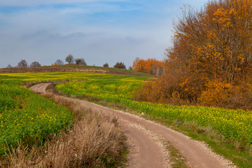 Krajobraz rolniczy - jesienny