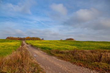Fototapeta na wymiar Krajobraz rolniczy - jesienny