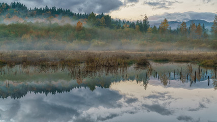 Fog On The Beaver Pond