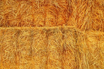 Yellow dry hay background texture. A stack of straw bales background. Close-up. Agricultural concept