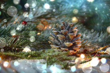Weihnachtlicher Hintergrund Natur - Tannenzweige mit Zapfen im Schnee