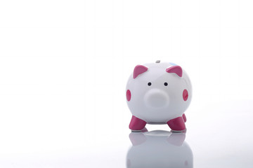 Piggy bank isolated on white background,