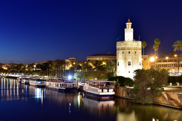 Fototapeta na wymiar The Torre del Oro or Golden Tower, a historic tower in Seville, Spain