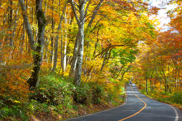 奥大山の紅葉