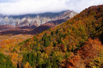 奥大山の紅葉