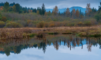Fototapeta na wymiar Autumn Colors Washington State