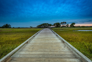 Fototapeta premium Low Angle of Wooden Boardwalk Through Marsh