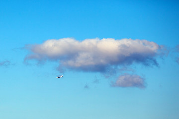 small plane in the blue sky next to a lonely cloud