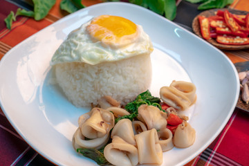 Fried basil leave with squid thai food.