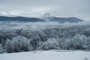 Obraz premium Snowscape along the Yellowhead - Smithers BC