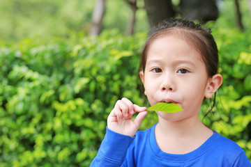 Portrait of cute little Asian child girl blowing a leaf in the nature garden.