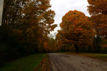 County Road Autumn color