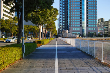 横浜のみなとみらい大通りの歩道