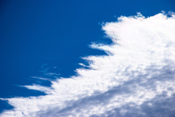 Fototapeta premium 秋空