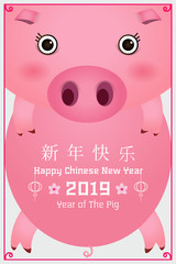 Year of the pig vector illustration