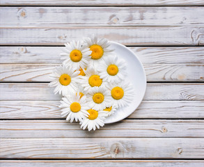 White saucer with chamomile flowers on vintage gray wooden table. Top view, copy space.
