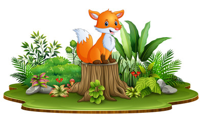 Obraz na płótnie Canvas Cartoon happy fox sitting on tree stump with green plants