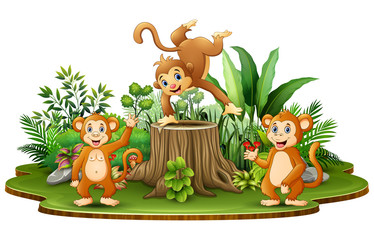 Obraz na płótnie Canvas Happy monkey group with green plants