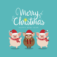 Merry Christmas greeting card with cute piggy and boar. 2019 the year of the pig. Animal in winter costume. Calligraphy hand written.