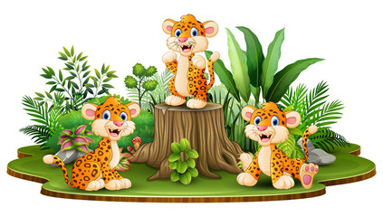 Happy leopard group with green plants