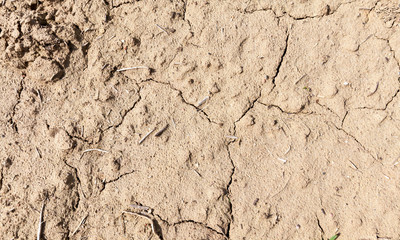 soil field
