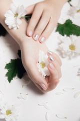Hands of woman with nude manicure nails and white chamomile chrysanthemums on light