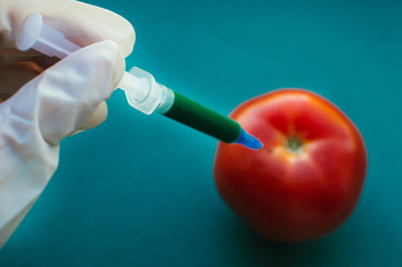Hand with a syringe and tomato. Concept genetically modified products