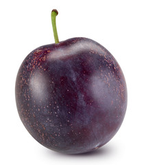 Plum isolated Clipping Path
