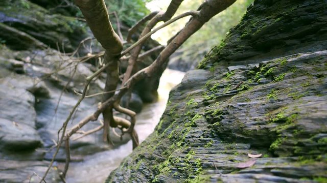Wang Sila is a beautiful place in Pua district, Nan province, Thailand.