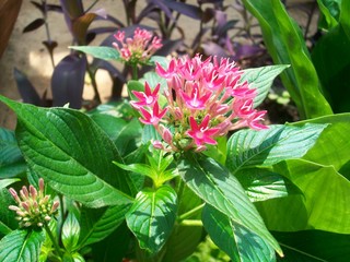 Photos from different countries and US cities