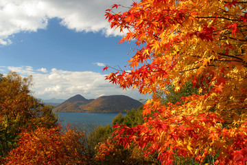 洞爺湖の紅葉