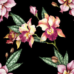 Seamless pattern with orchid flowers. Watercolor illustration.