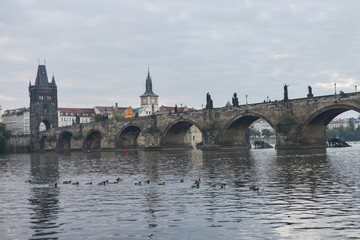 Obraz premium Карлов мост