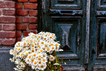 Bouquet of daisies